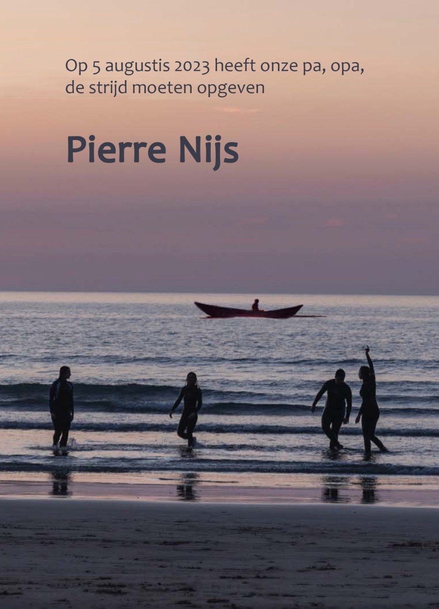 Pierre Nijs website 